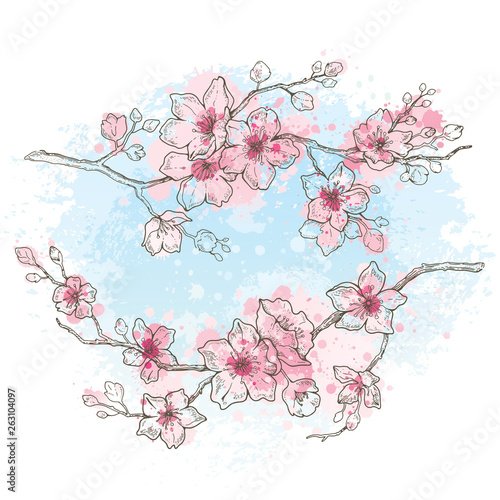 Cherry blossom, watercolor spring sakura flowers on sky blue background, hand drawn art set. Cute oriental painted plant. Botanil pastel vector illustration, isolated on white. Springtime sketch