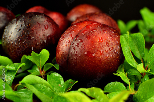 Two plums closeup shot with leaves in foreground and black background
