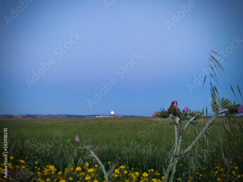 la luna appare photo