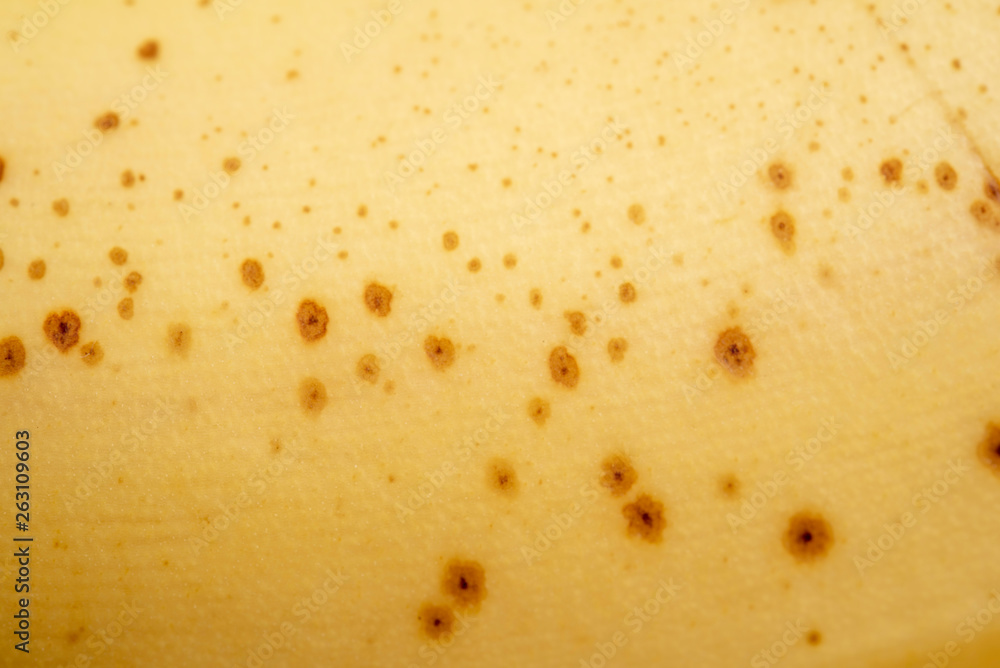 A close-up or macro shot of the overripe yellow skin with pock marks of a banana fruit. A close-up or macro shot of the overripe yellow skin with pock marks of a banana fruit.