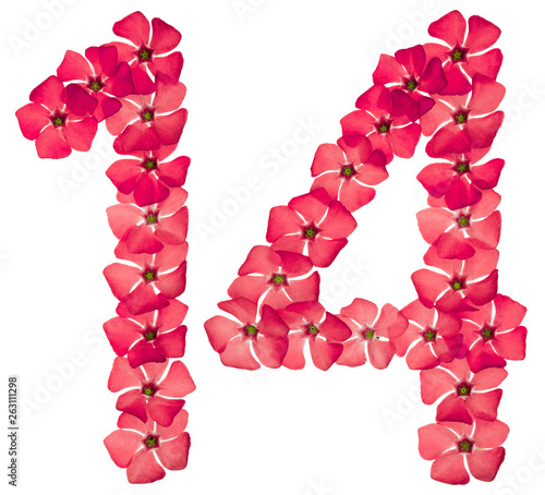 Numeral 14, fourteen, from natural red flowers of periwinkle, isolated on white background photo