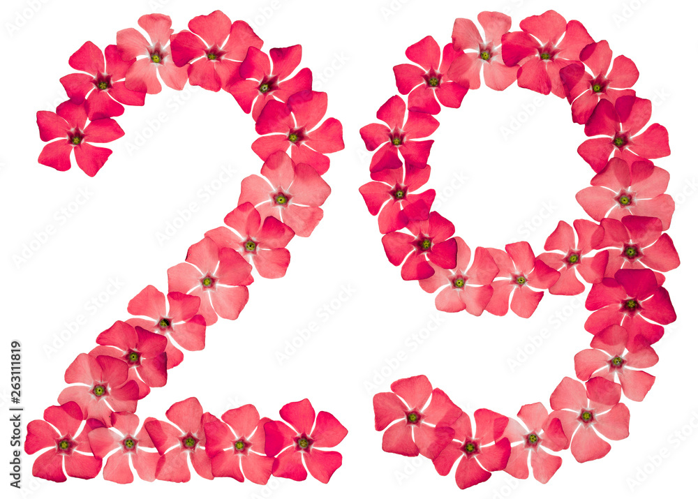 Numeral 29, twenty nine, from natural red flowers of periwinkle, isolated on white background
