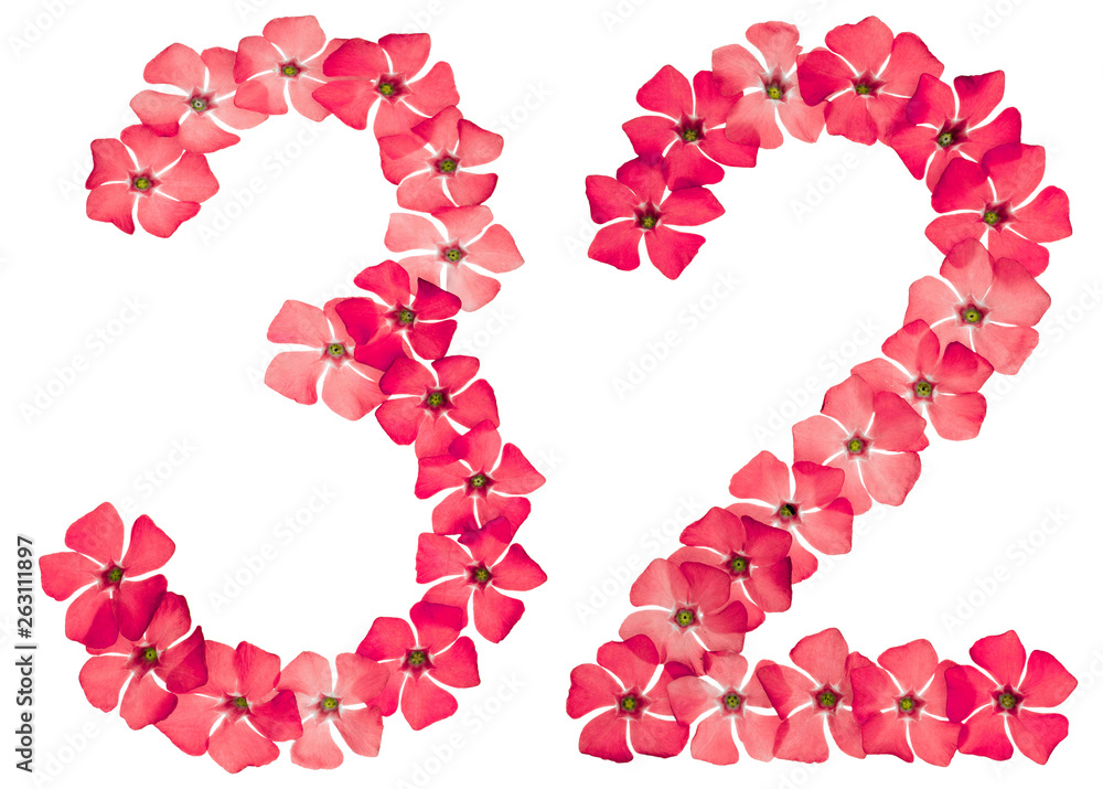 Numeral 32, thirty two, from natural red flowers of periwinkle, isolated on white background