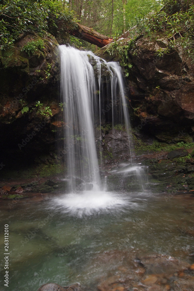 Obraz premium Grotto Falls in early summer in the Great Smoky Mountains National Park, Tennessee.