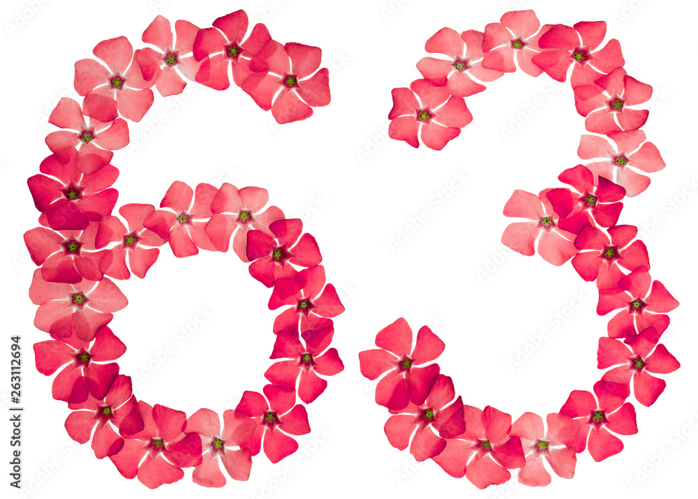 Numeral 63, sixty three, from natural red flowers of periwinkle, isolated on white background