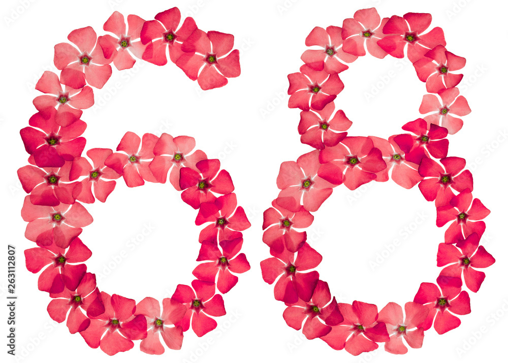 Numeral 68, sixty eight, from natural red flowers of periwinkle, isolated on white background
