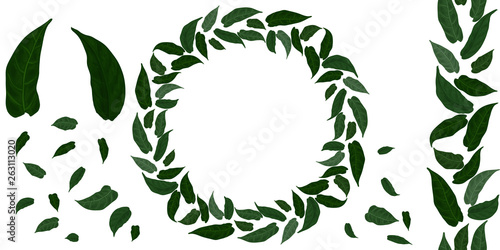 A wreath of green leaves. Botanical ornament. Vector seamless patterned brush. For fabric design, invitations, cards. © isuhi