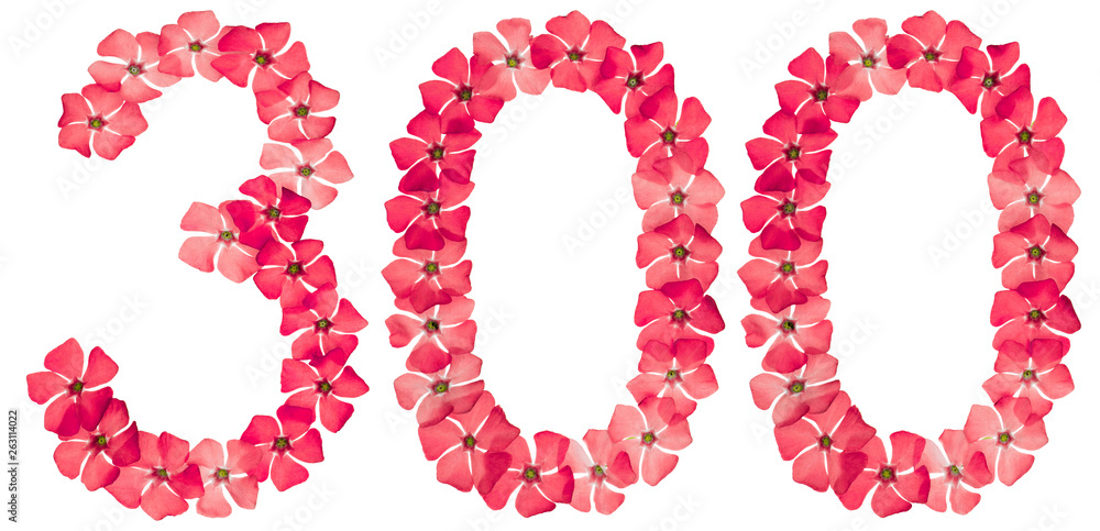 Numeral 300, three hundred, from natural red flowers of periwinkle, isolated on white background Numeral 300, three hundred, from natural red flowers of periwinkle, isolated on white background