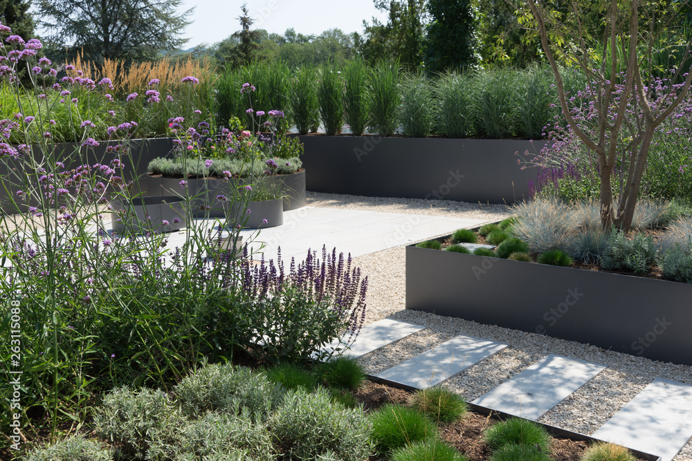 Moderne Gartengestaltung mit Gräsern und Stauden Stock Photo | Adobe Stock