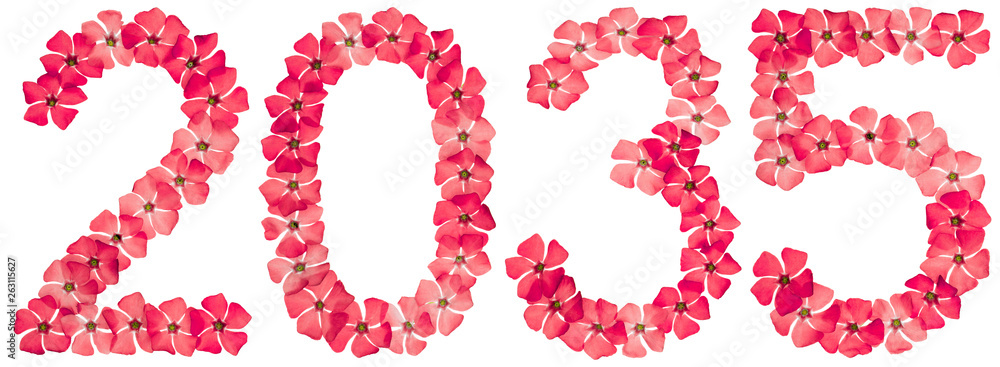 Inscription 2035, from natural red flowers of periwinkle, isolated on white background Inscription 2035, from natural red flowers of periwinkle, isolated on white background