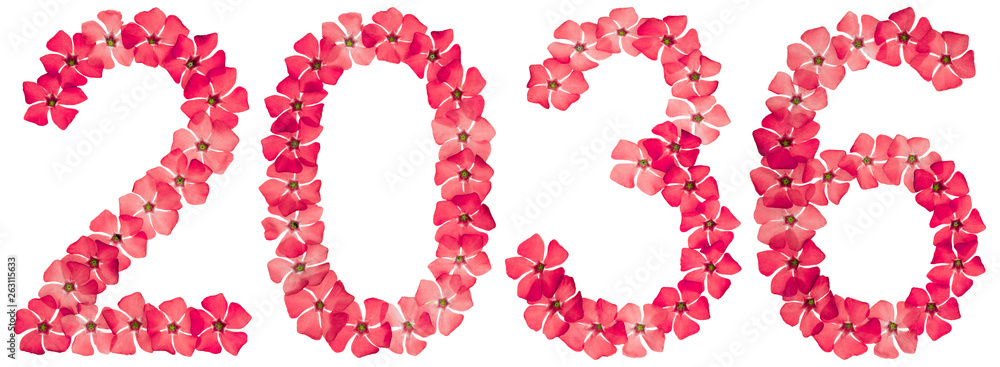 Inscription 2036, from natural red flowers of periwinkle, isolated on white background