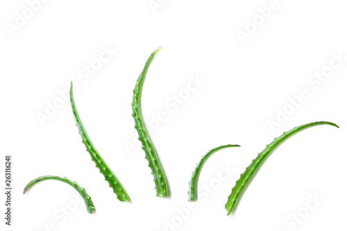 Fresh aloe vera leaves with water drops on white background