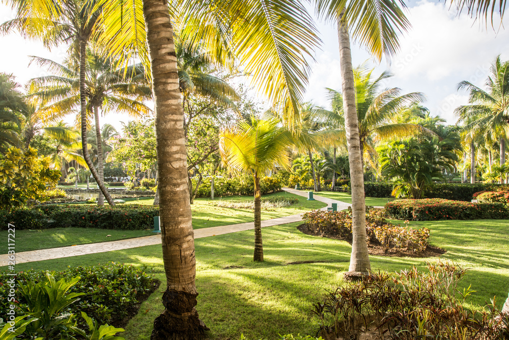 Fototapeta premium lush garden