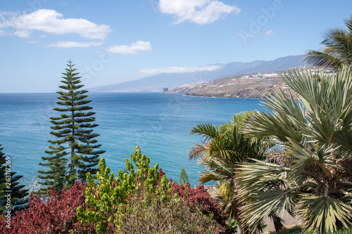 island coast near santa cruz de tenerife view from palmetum botanical garden