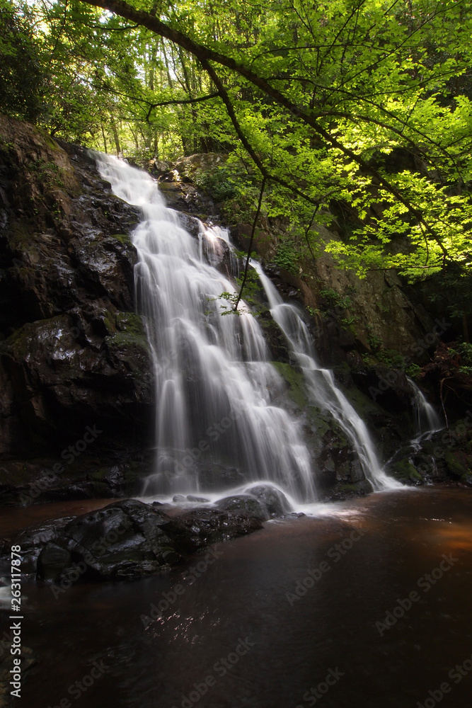 Spruce Flats Falls in the Great Smoky Mountains National Park, Tennessee, in early summer.