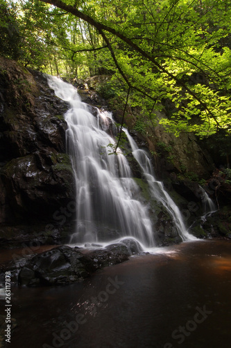 Spruce Flats Falls in the Great Smoky Mountains National Park  Tennessee  in early summer.