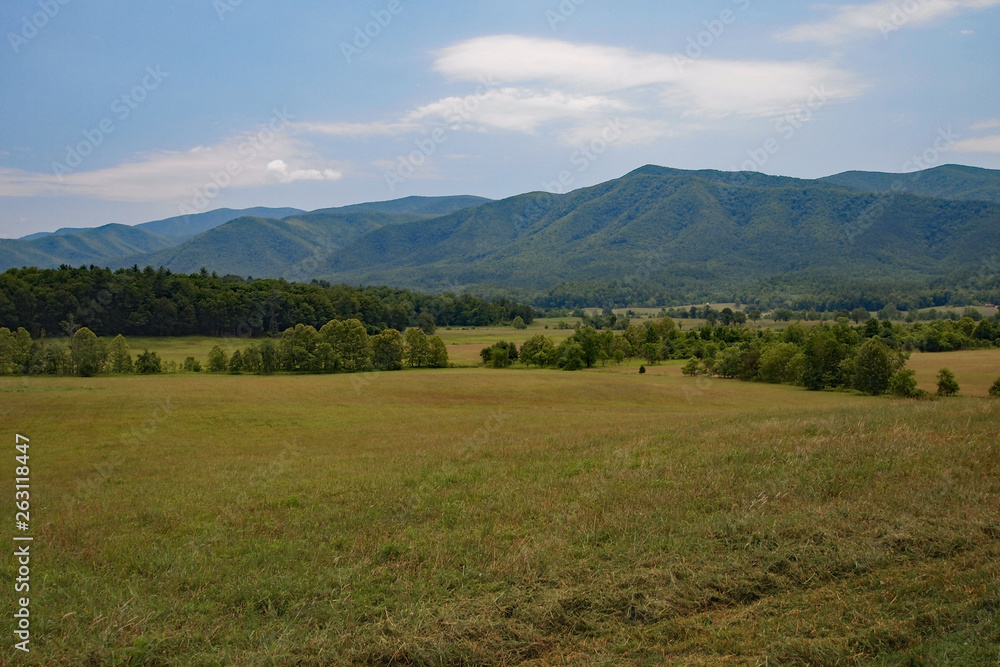 Cades Cove in the Great Smoky Mountains National Park, Tennessee, in early summer.
