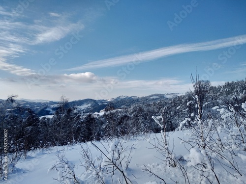 Bonitos Paisajes de invierno con monte y árboles cargados de nieve en pueblo de Parva, Rumanía,Transilvania © nykaly