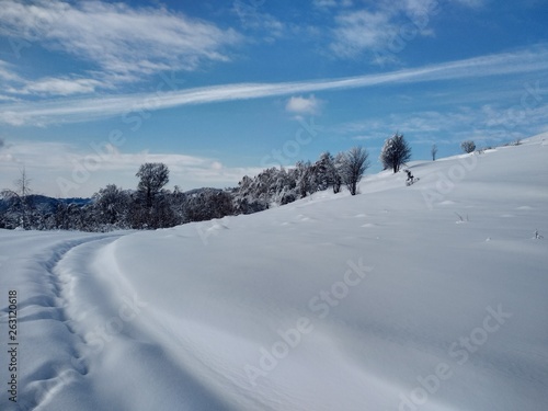Bonitos Paisajes de invierno con monte y árboles cargados de nieve en pueblo de Parva, Rumanía,Transilvania © nykaly