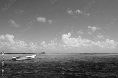 sea 4