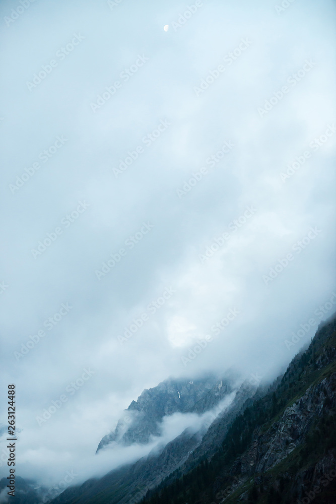 Ghostly giant rocks with trees in thick fog. Mysterious huge mountain with snow in mist. Early morning in mountains. Impenetrable fog. Dark atmospheric cloudy landscape. Tranquil mystic atmosphere.