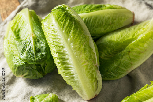 Organic Healthy Green Romaine Lettuce