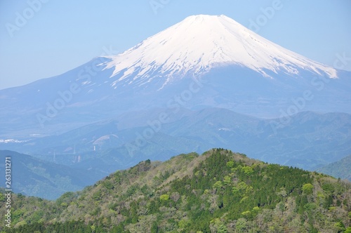 山の緑に富士山