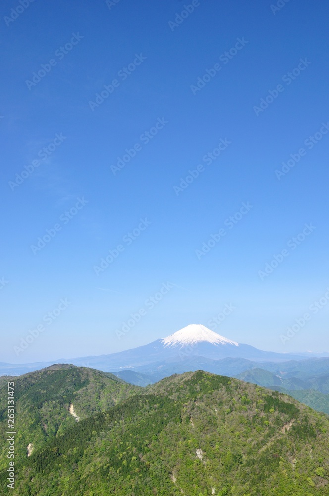 富士山に新緑と青空