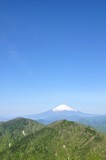 富士山に新緑と青空