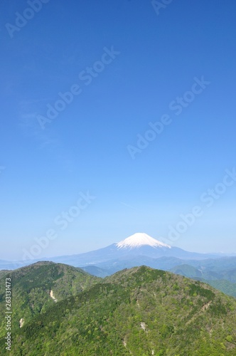 富士山に新緑と青空 © Green Cap 55