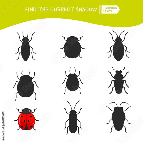 Educational  game for children. Find the right shadow. Kids activity with cartoon cute ladybug. © Алёна Игдеева