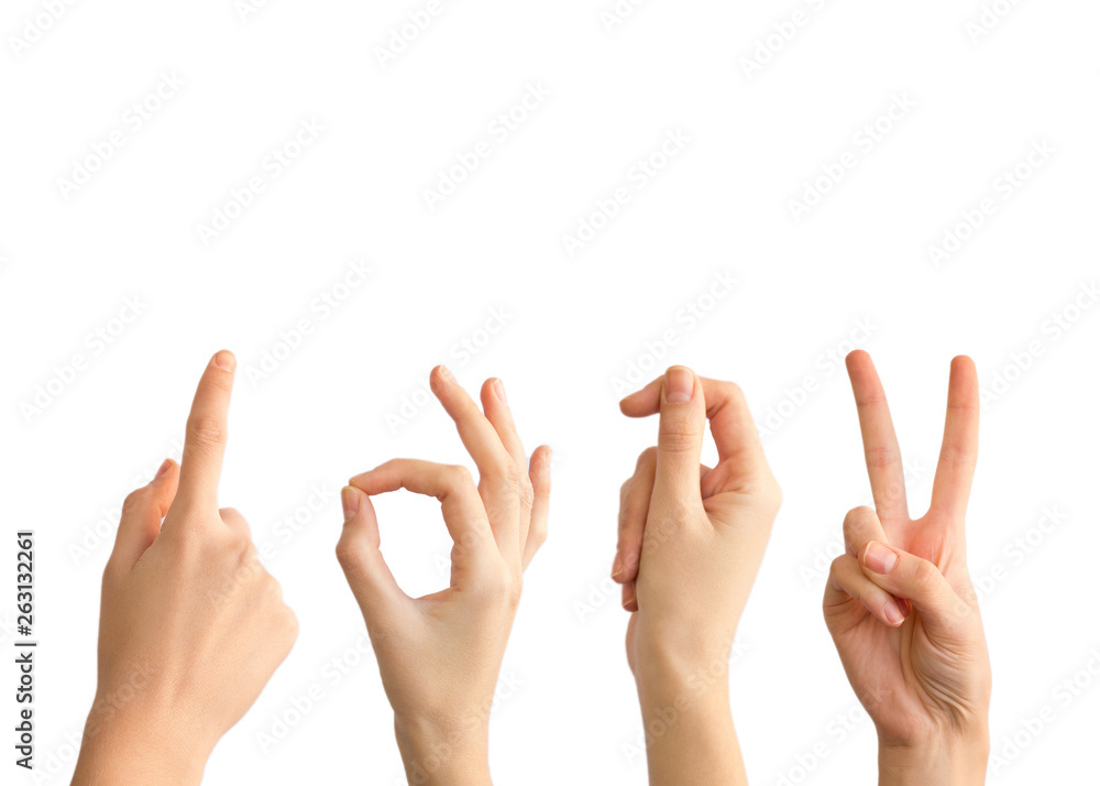 Multiple female hand gestures on white background Multiple female hand gestures on white background