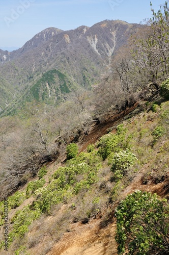 春の丹沢山地風景