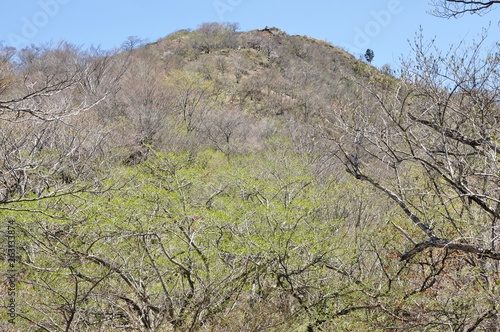 早春の塔ノ岳