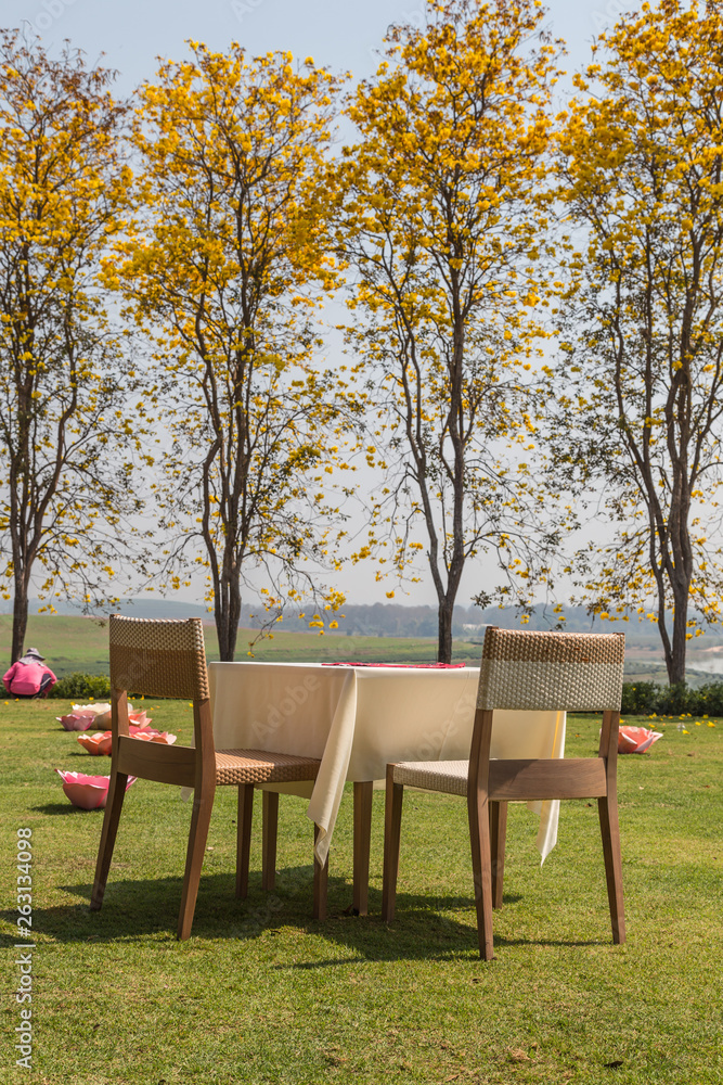 Obraz premium bench in the park