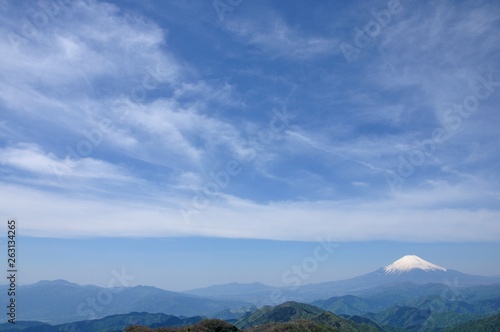 大空に春の富士山