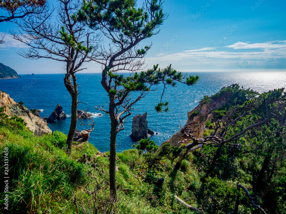 【静岡県伊豆半島ジオパーク】夏の西伊豆黄金崎の風景