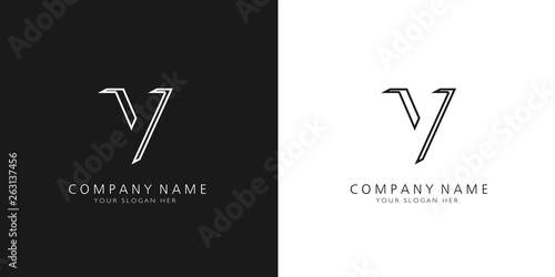 v logo letter design photo