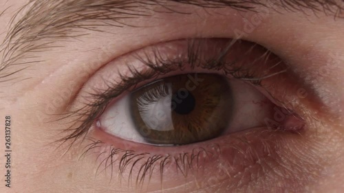 Closeup of brown human eye opening and contracting, then blinking
