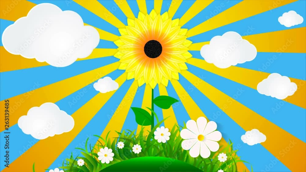 Sunflower on a background of grass and sky Sunflower on a background of grass and sky