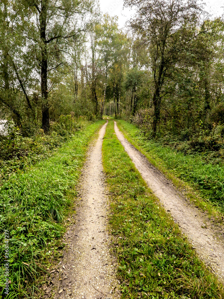 Path of land between trees and lawn, German countryside Path of land between trees and lawn, German countryside