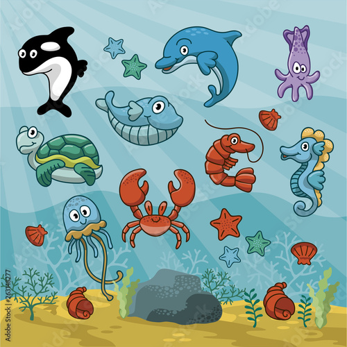 animales del mar