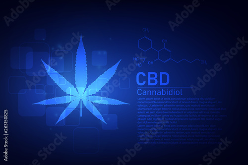 molecular structure medical  chemistry formula cannabis of the formula CBD,vector illustration