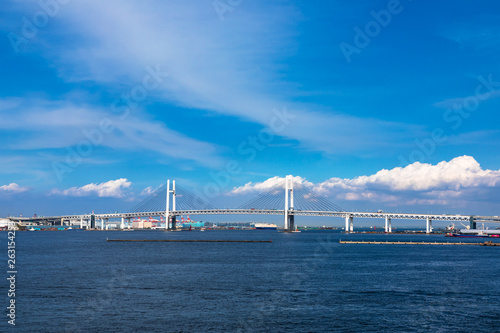 (神奈川県ｰ風景)大桟橋から望む横浜ベイブリッジ１ © moarave