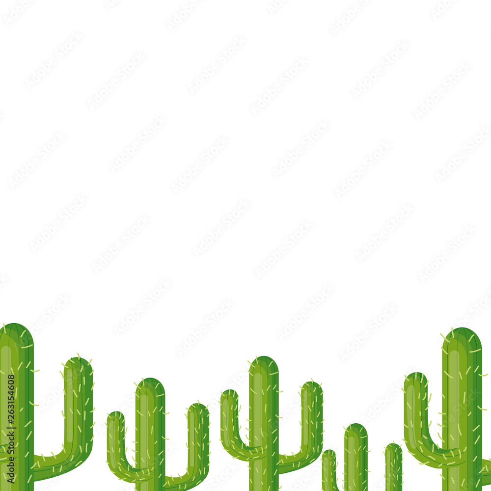 cactus plant flora cactus plant flora