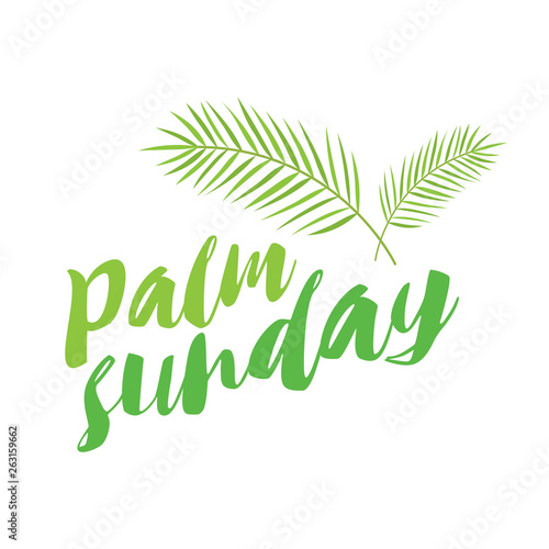 palm sunday title with palms
