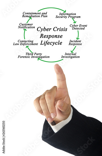 Cyber Crisis Response Lifecycle