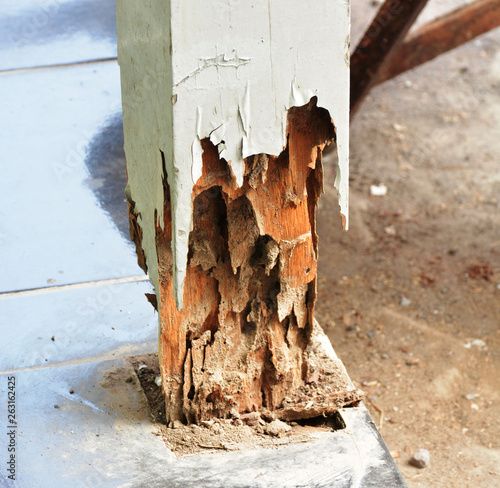 Photos Base of the pole damaged by termites