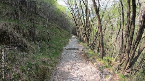 Hyper lapse hiking on the paths in the woods of the Italian Alps. Spring time. General purpose. Path from the village of Albino to Selvino. Bergamo Province. Italy photo