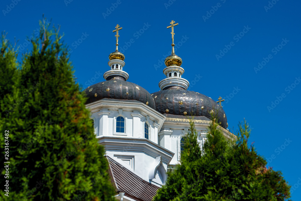 domes of the Church against the sky